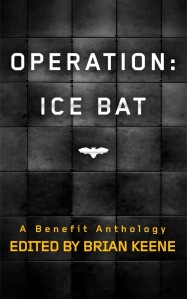operation ice bat